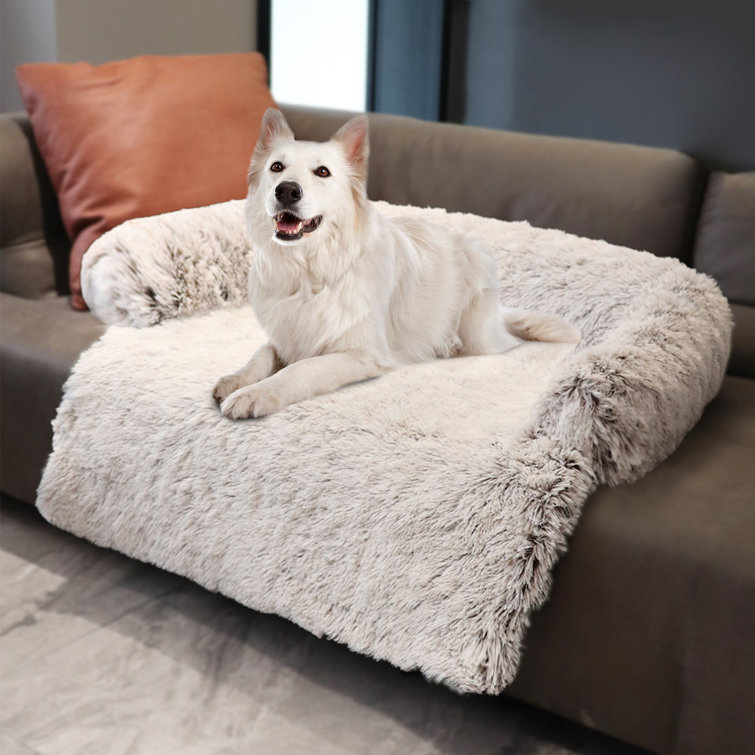 Tucker Murphy Pet™ Calming Dog Bed Fluffy Plush Pet Sofa Couch Cover